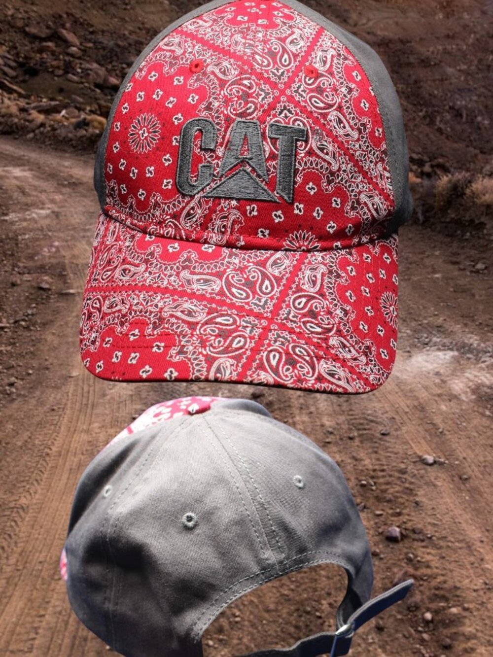 Caterpillar Colorful Plaid Banda looking Hat Cap  Mesh Cat